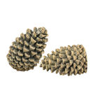 High Temperature Vented Gas Logs Pinecone Cast Pinecone Firewood Pinecone